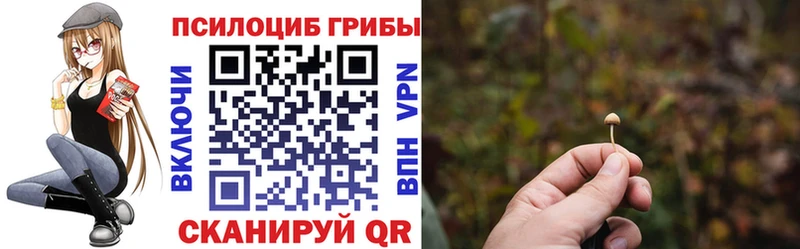 Галлюциногенные грибы Psilocybine cubensis  hydra как зайти  Туран 